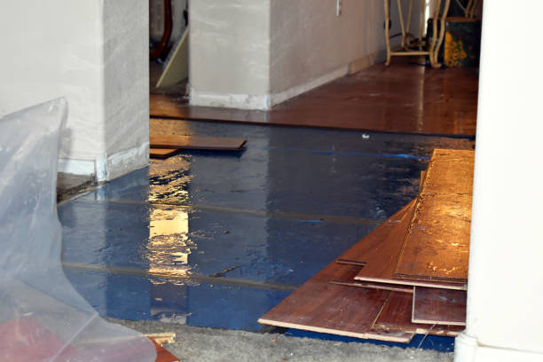 Professional Basement Flood Cleanup technician working in Leesburg, VA